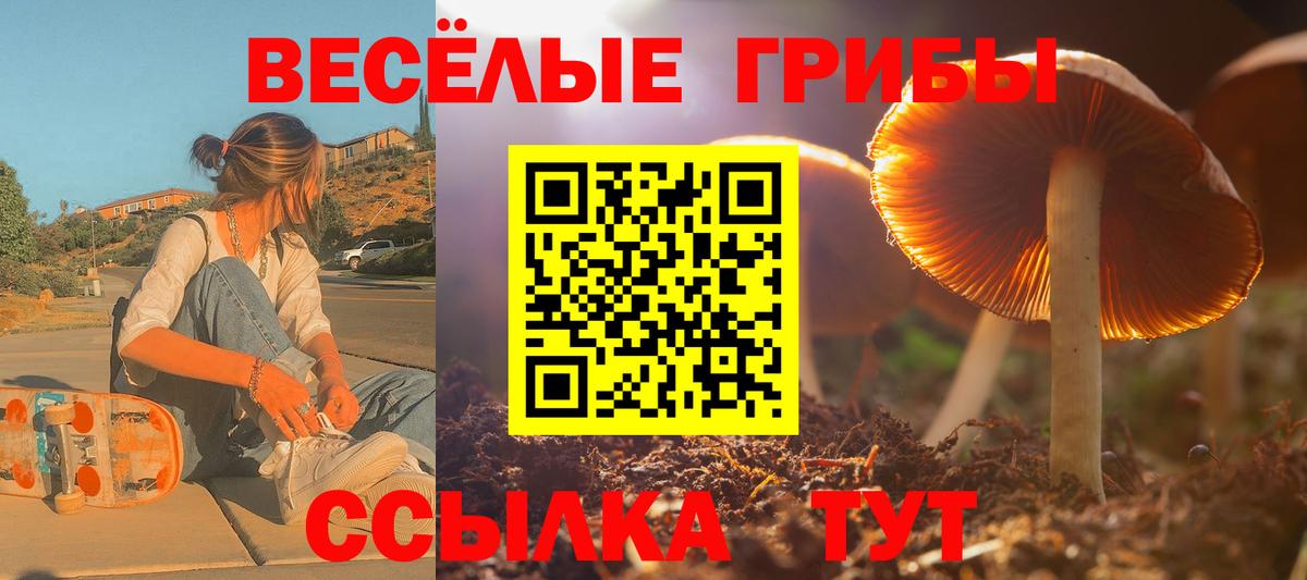 Серов  Галлюциногенные грибы MAGIC MUSHROOMS  Псилоцибиновые грибы прущие грибы  цена   Вход с VPN 
