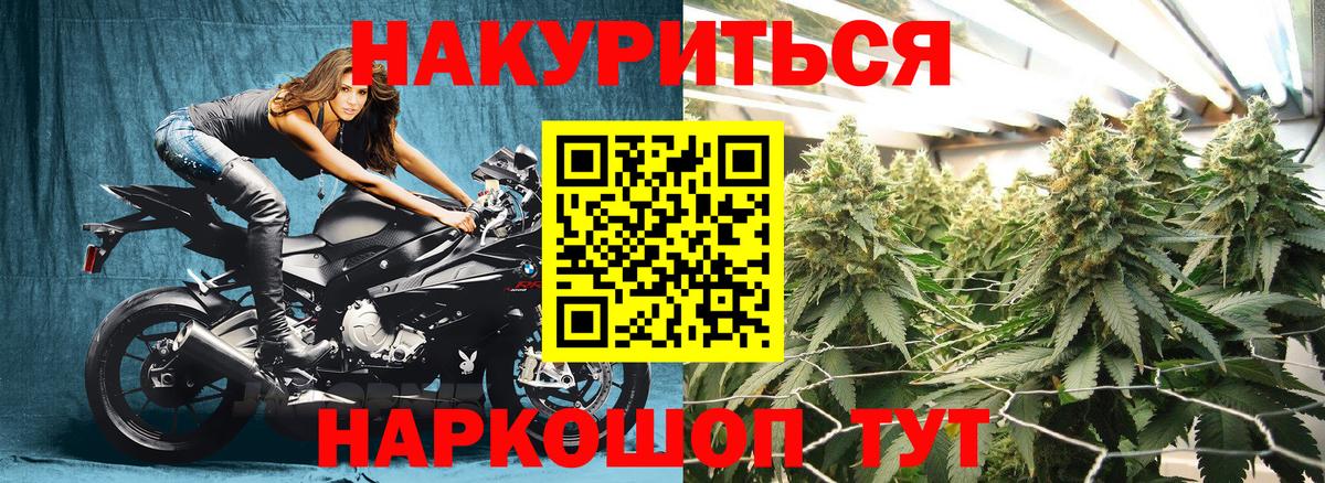 Каннабис ГИДРОПОН  Марихуана MAZAR  Вход с VPN  Шишки марихуана гибрид  Серов 